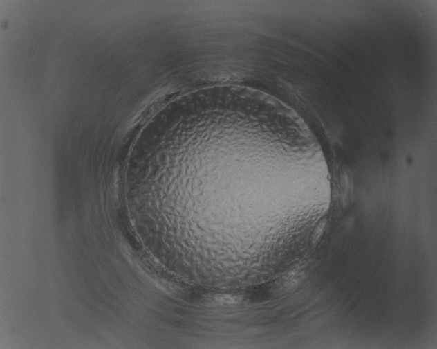 X0000053070163200507181635