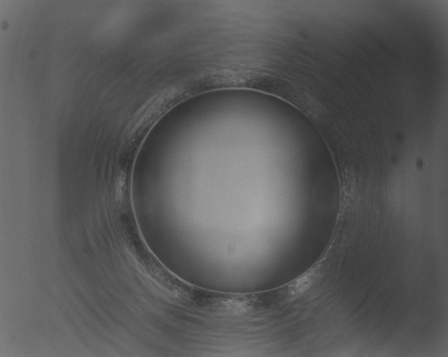 X0000053070166200507181635