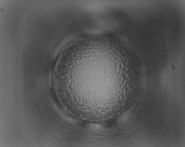 X0000053070167200507181635