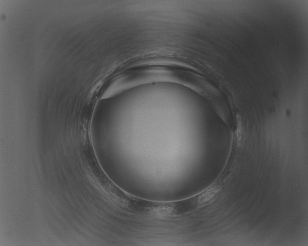 X0000053070168200507181635