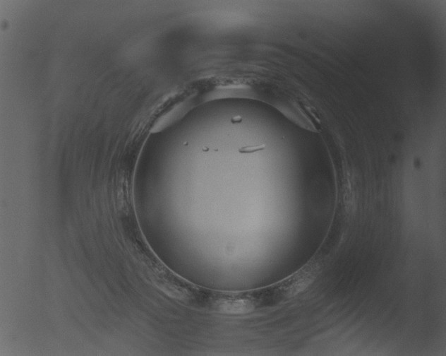 X0000053070169200507181635