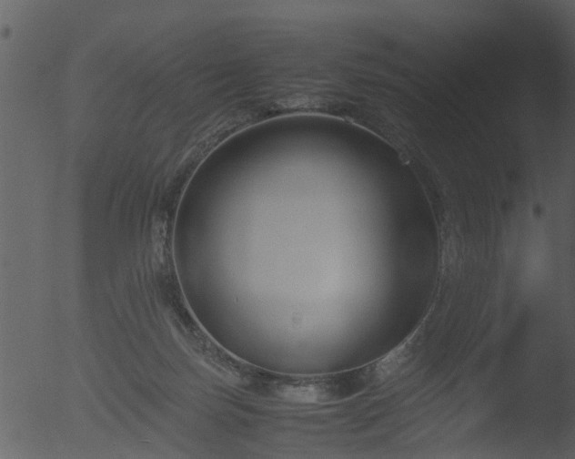 X0000053070171200507181635