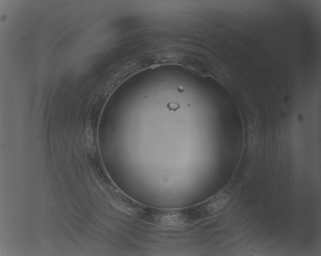 X0000053070173200507181635