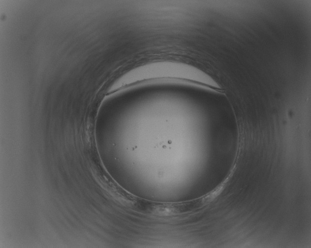 X0000053070174200507181635