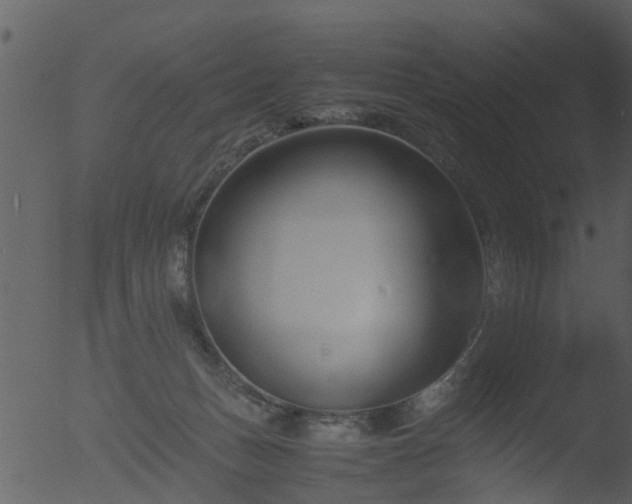 X0000053070175200507181636