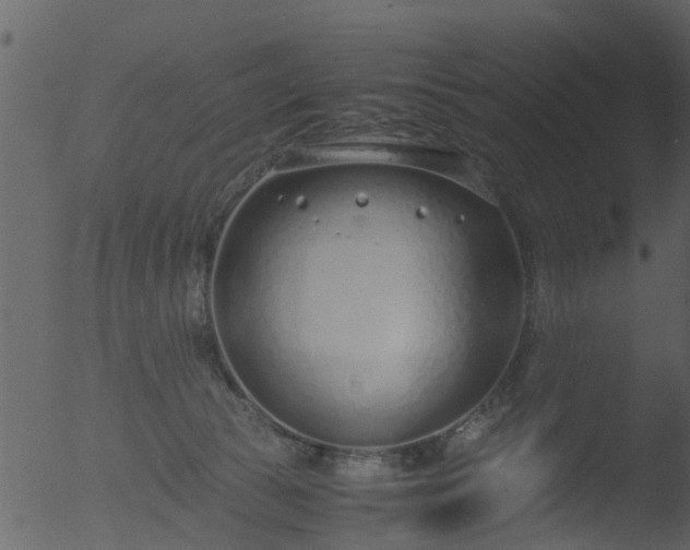 X0000053070177200507181636