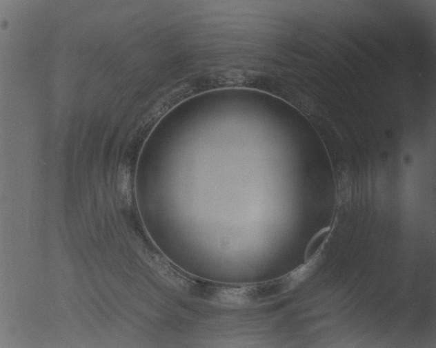 X0000053070178200507181636