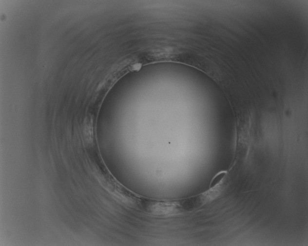 X0000053070179200507181636