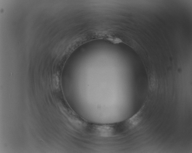 X0000053070183200507181636