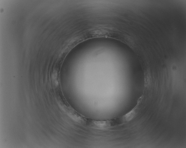 X0000053070187200507181636