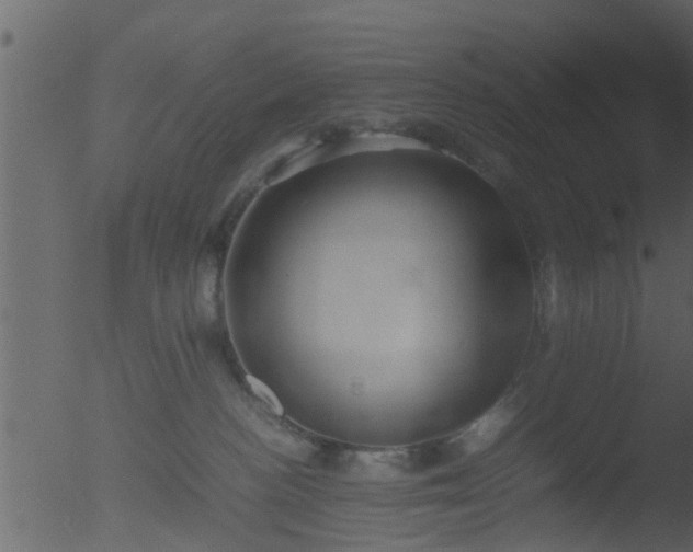 X0000053070188200507181636