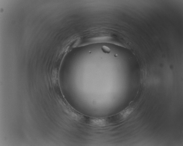 X0000053070189200507181636