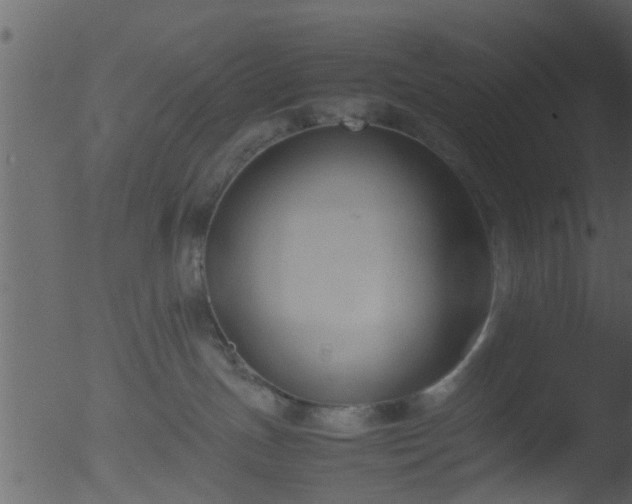 X0000053070191200507181636