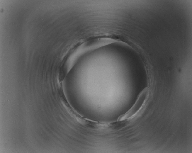 X0000053070192200507181636