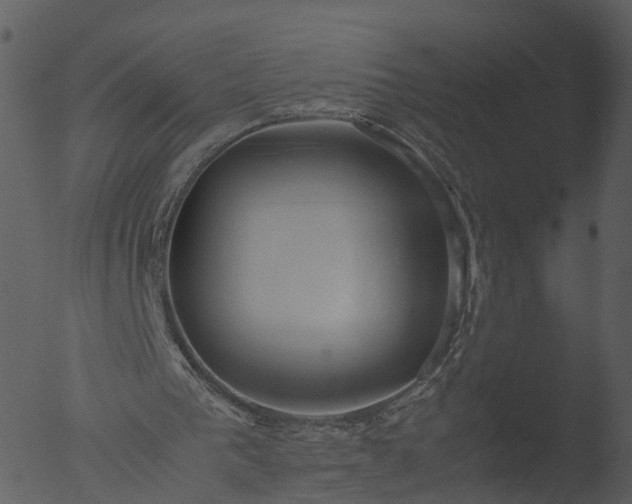 X0000053070193200507181635