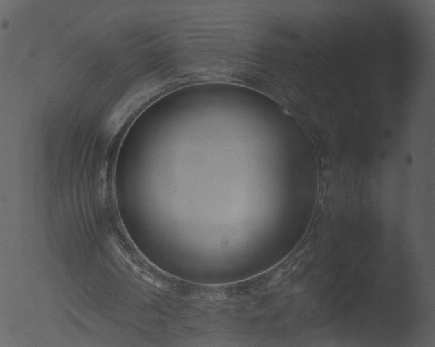 X0000053070194200507181635