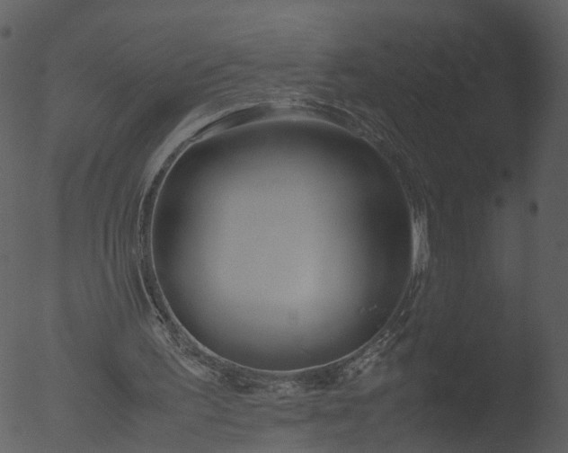 X0000053070195200507181635