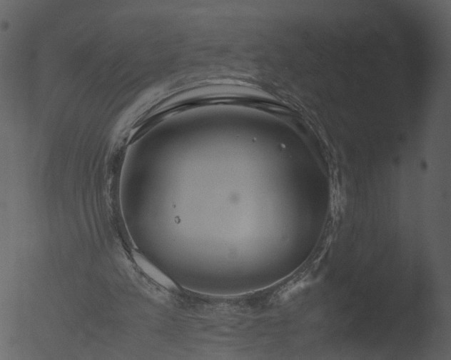 X0000053070197200507181635