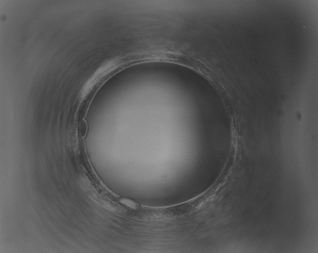 X0000053070198200507181635