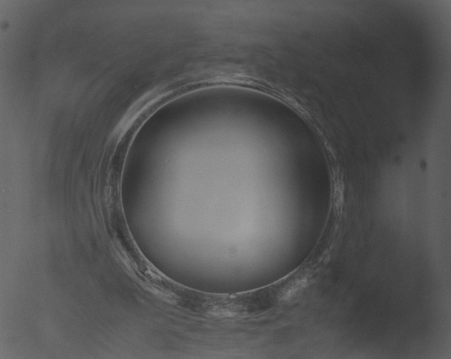 X0000053070199200507181635