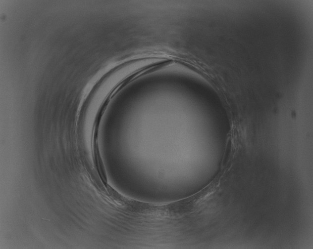 X0000053070200200507181635