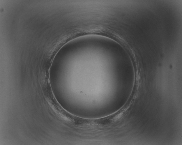 X0000053070201200507181635