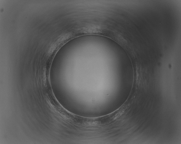 X0000053070202200507181635