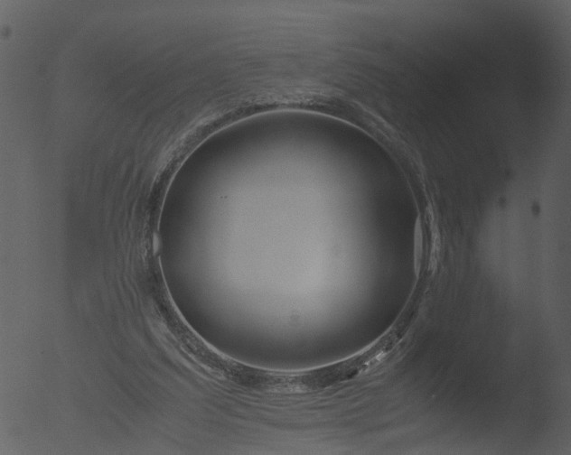 X0000053070203200507181635