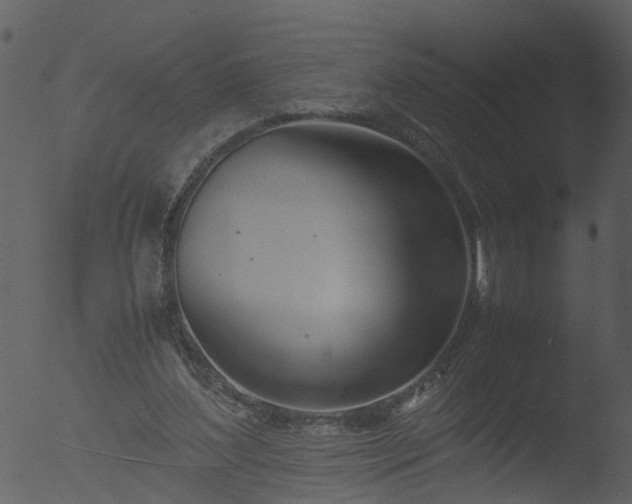 X0000053070204200507181635