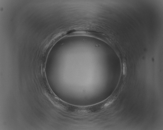 X0000053070205200507181635