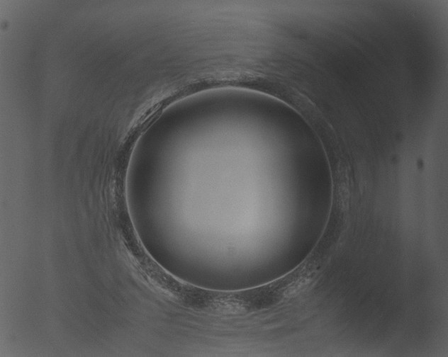 X0000053070207200507181635