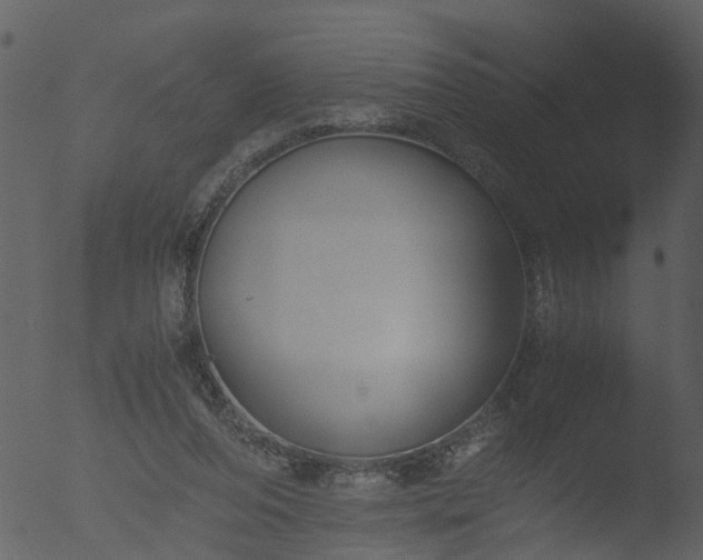 X0000053070208200507181635