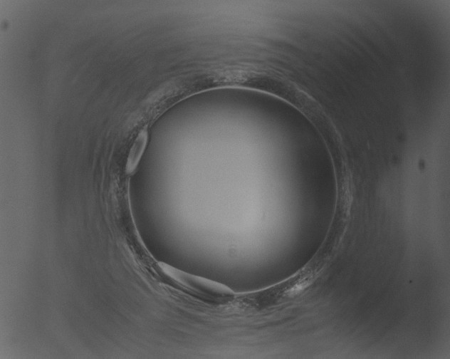 X0000053070209200507181635