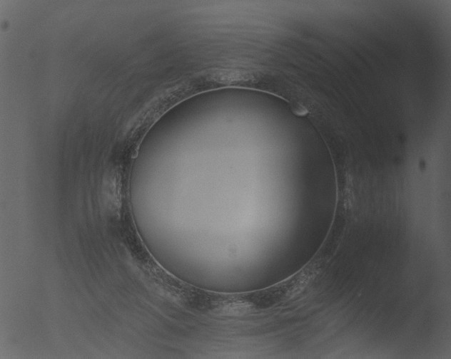 X0000053070210200507181635