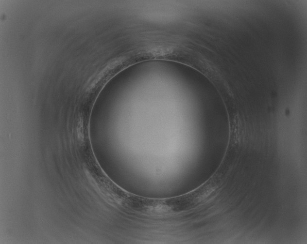 X0000053070212200507181635