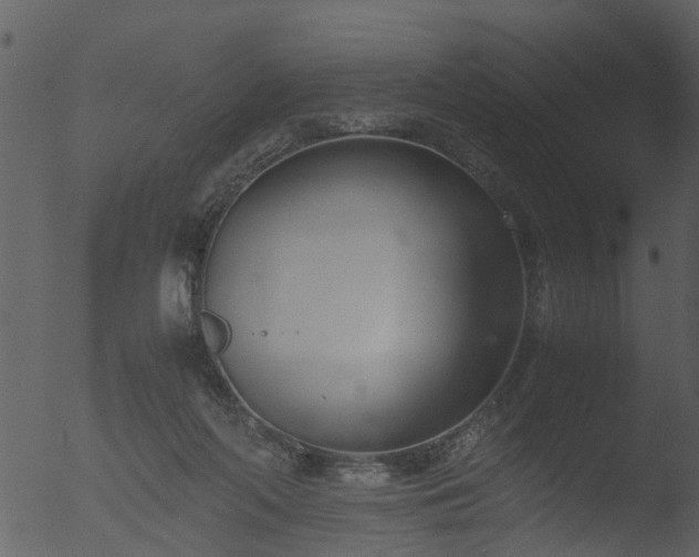 X0000053070214200507181635