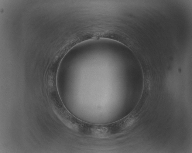 X0000053070215200507181635