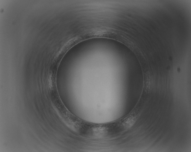 X0000053070216200507181635