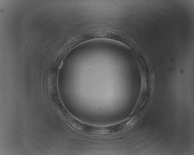 X0000053070217200507181635