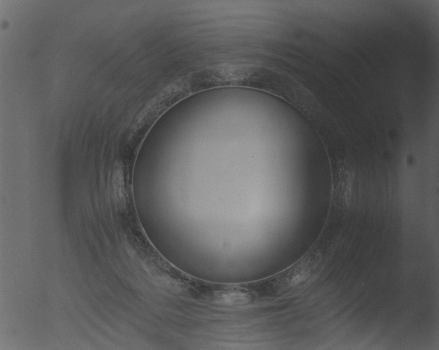 X0000053070220200507181635