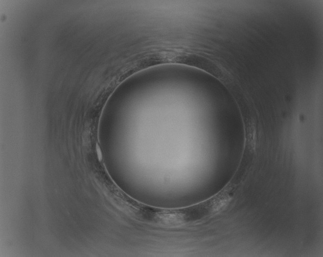 X0000053070221200507181635