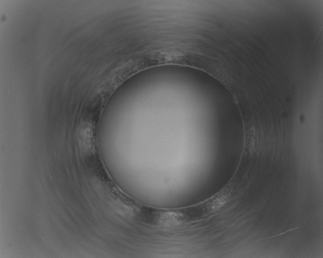 X0000053070222200507181634