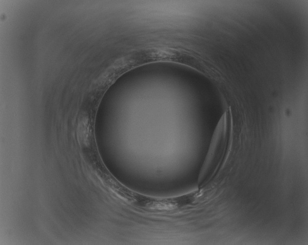 X0000053070223200507181634