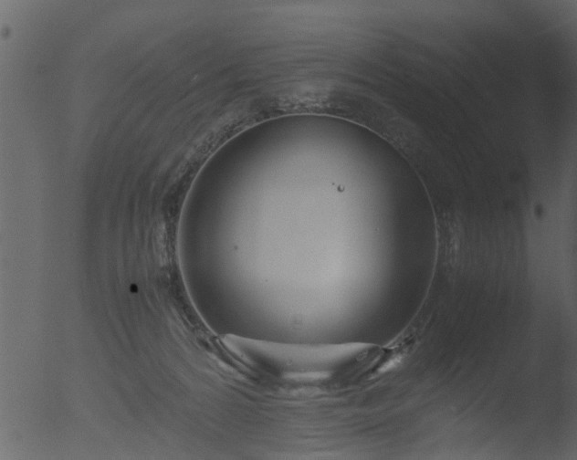 X0000053070224200507181634