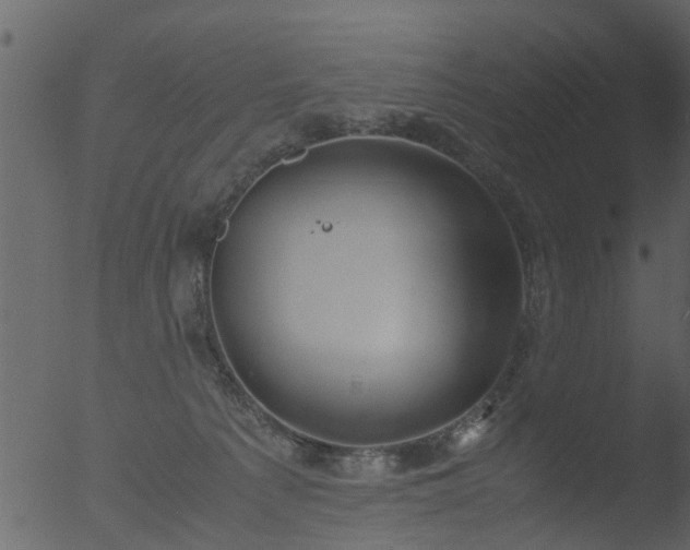 X0000053070225200507181634