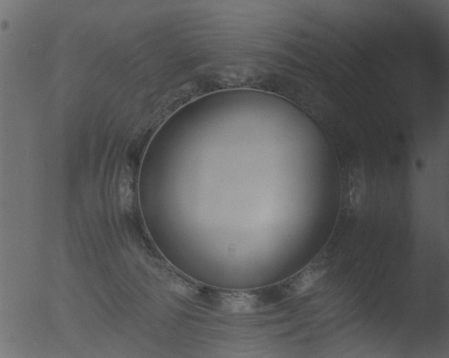 X0000053070226200507181634