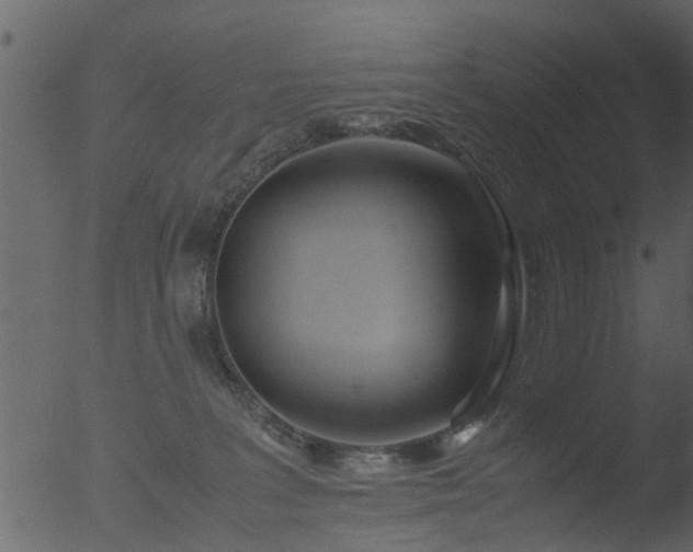 X0000053070227200507181634