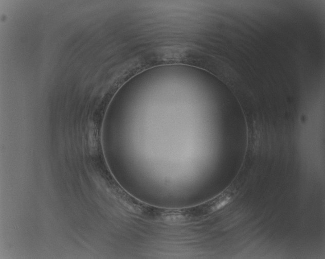 X0000053070228200507181634