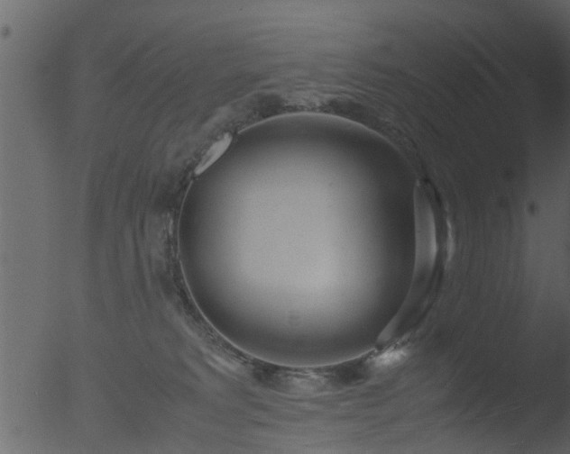 X0000053070229200507181634