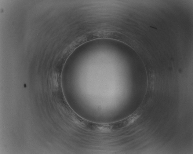 X0000053070232200507181634